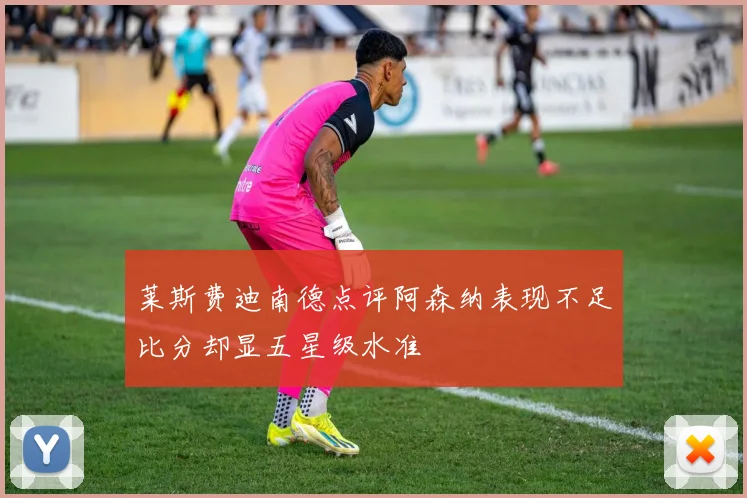 莱斯费迪南德点评阿森纳表现不足比分却显五星级水准
