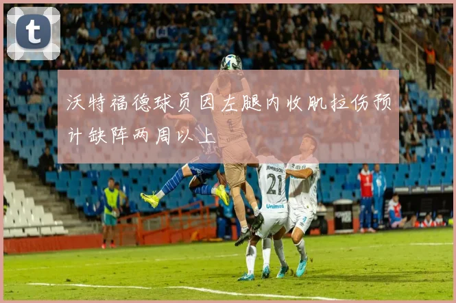沃特福德球员因左腿内收肌拉伤预计缺阵两周以上
