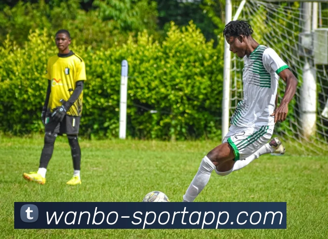 万博足球官网全站App